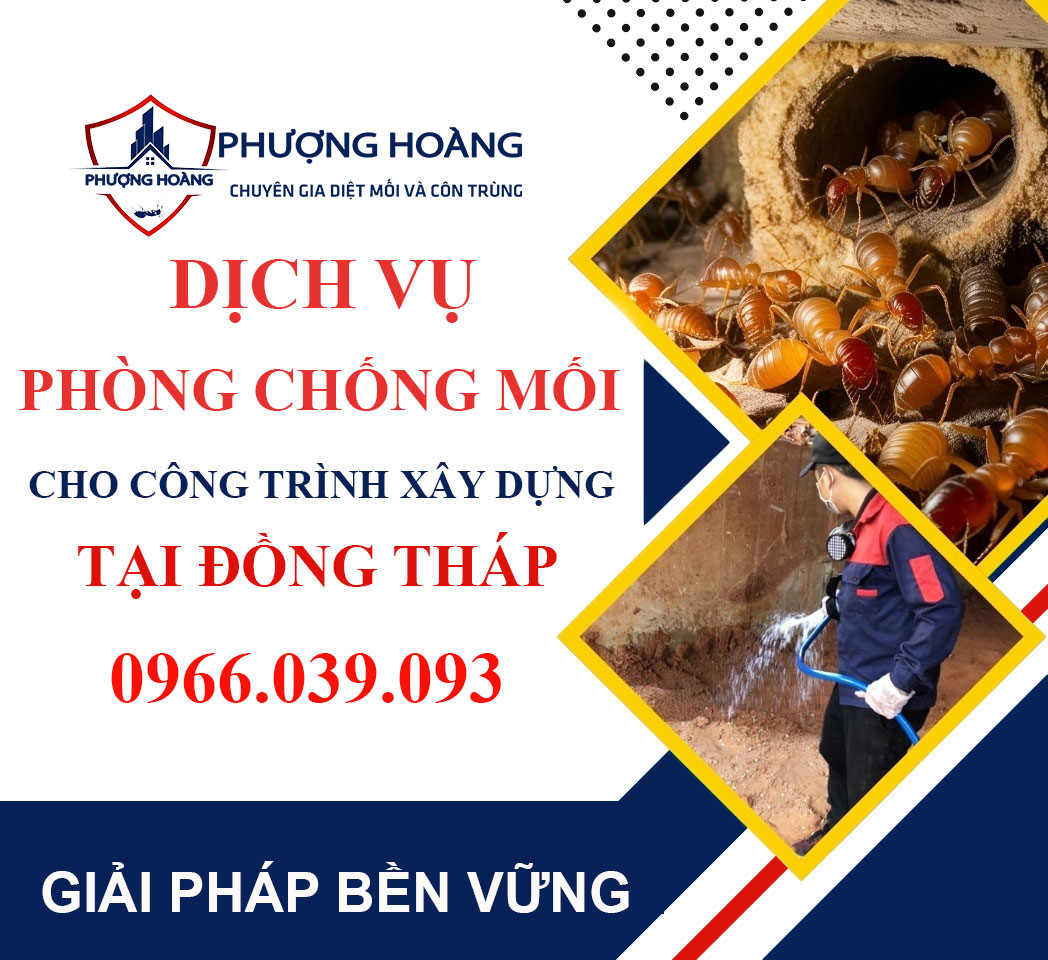Dịch vụ phòng chống mối cho công trình xây dựng tại Đồng Tháp - Chuyên nghiệp từ Phượng Hoàng