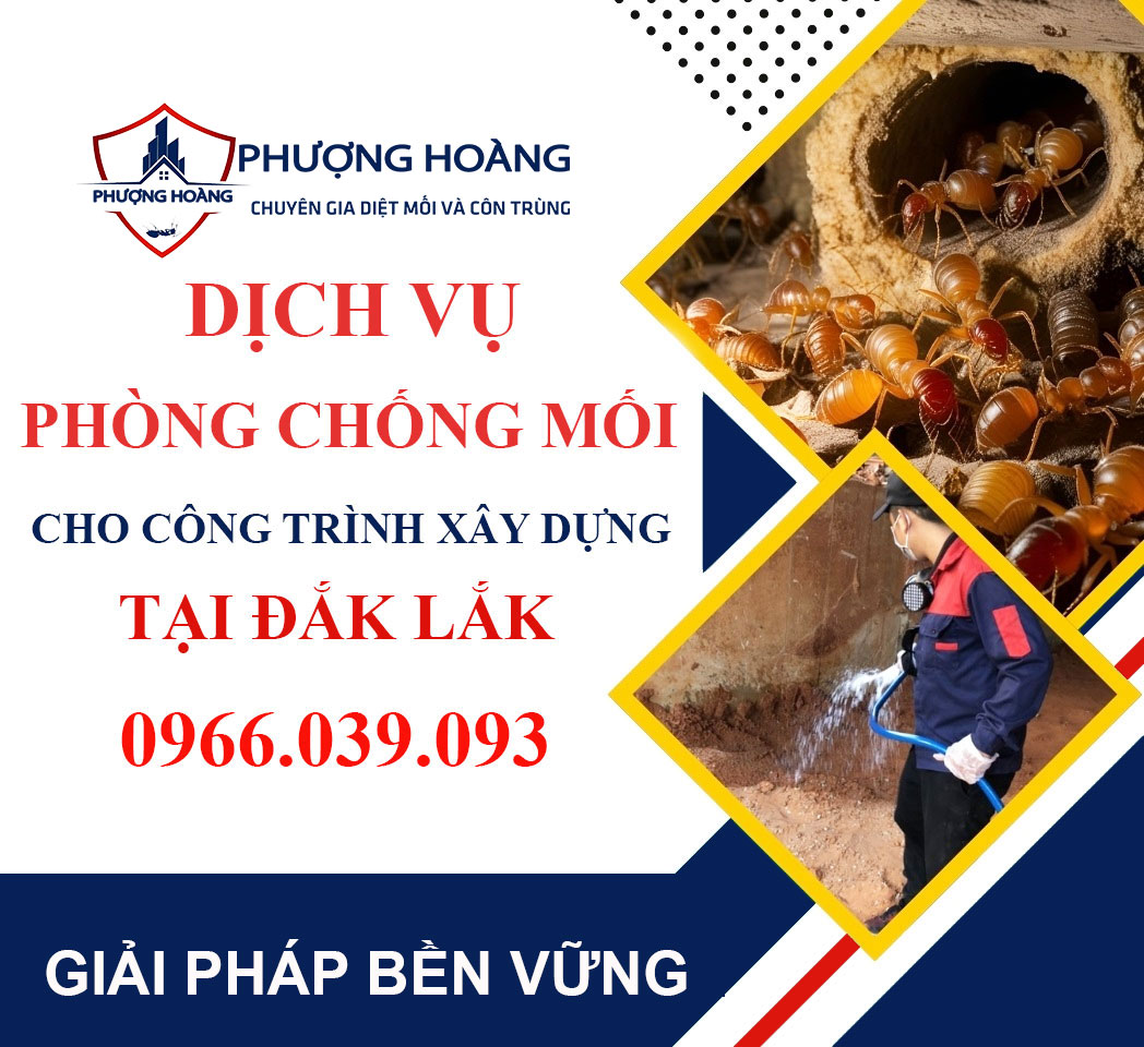 Dịch vụ phòng chống mối cho công trình xây dựng tại Đắk Lắk - Giải pháp bảo vệ hiệu quả từ Phượng Hoàng