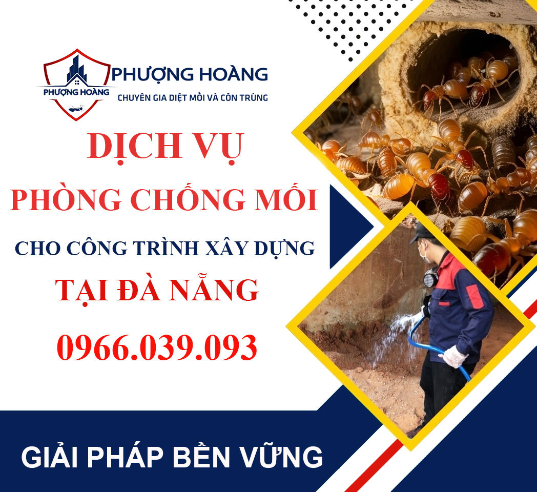 Dịch vụ phòng chống mối cho công trình xây dựng tại Đà Nẵng - Uy tín, hiệu quả, bảo hành dài hạn