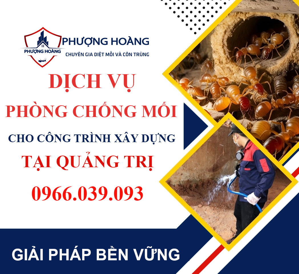 Dịch vụ phòng chống mối cho công trình xây dựng tại Quảng Trị - Giải pháp bền vững cùng Phượng Hoàng