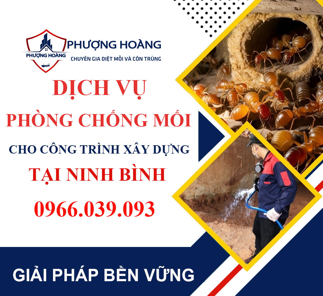 Dịch vụ phòng chống mối cho công trình xây dựng tại Ninh Bình - Hiệu quả lâu dài cùng Phượng Hoàng