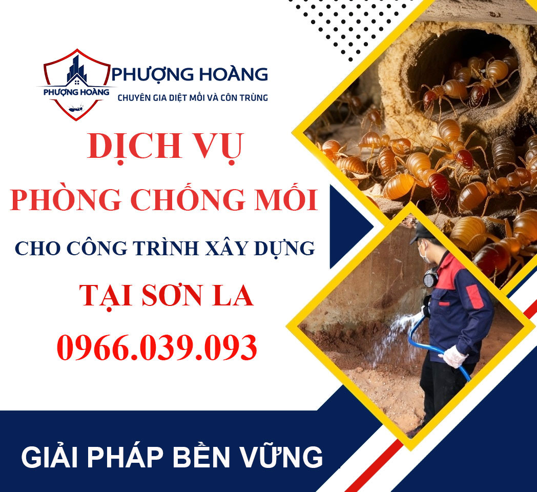 Dịch vụ phòng chống mối cho công trình xây dựng tại Sơn La - Uy tín cùng Phượng Hoàng
