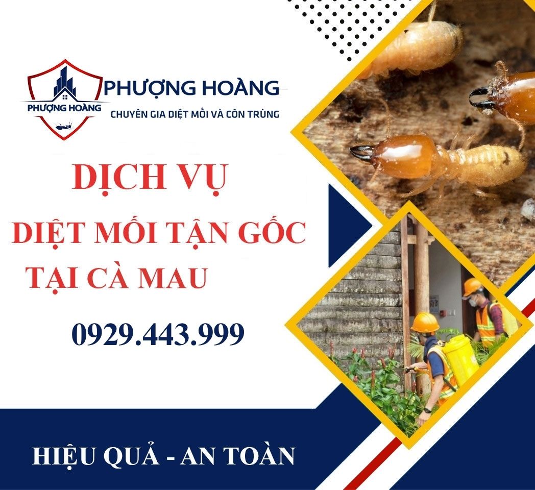 Dịch vụ diệt mối tận gốc tại nhà ở Cà Mau - Giải pháp hiệu quả cho mọi gia đình