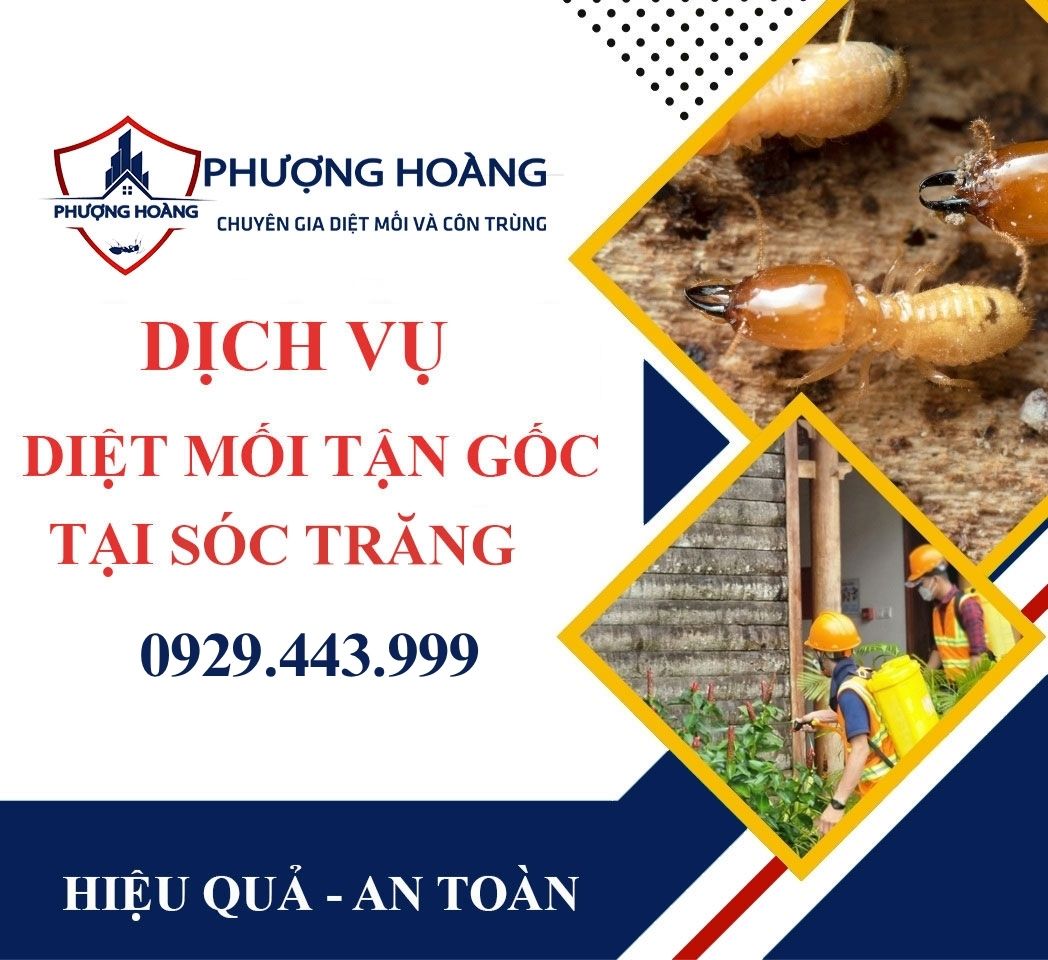 Dịch vụ diệt mối tận gốc tại nhà ở Sóc Trăng - Uy tín, nhanh chóng, an toàn