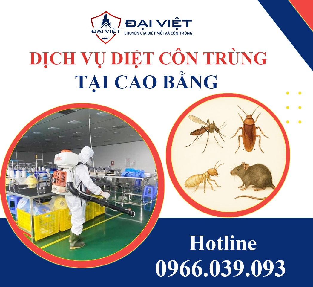 Dịch vụ diệt côn trùng tại Cao Bằng - Hiệu quả dài lâu