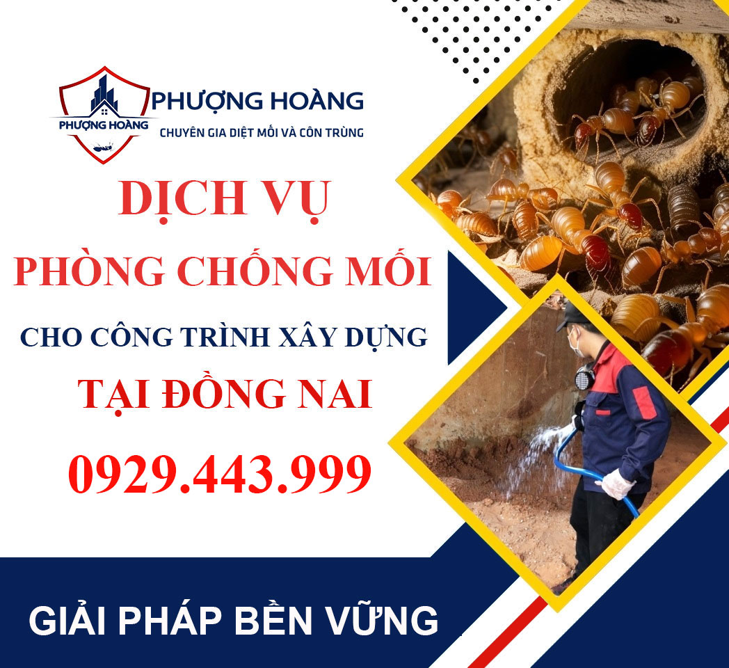 Dịch vụ phòng chống mối cho công trình xây dựng tại Đồng Nai - Bảo vệ tận gốc với Phượng Hoàng