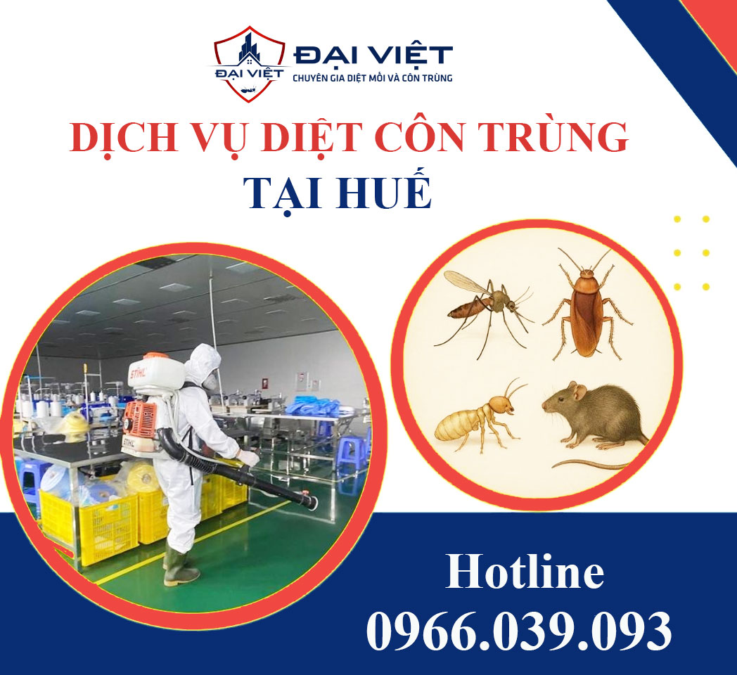 Dịch vụ diệt côn trùng tại Huế - Uy tín, nhanh chóng, hiệu quả