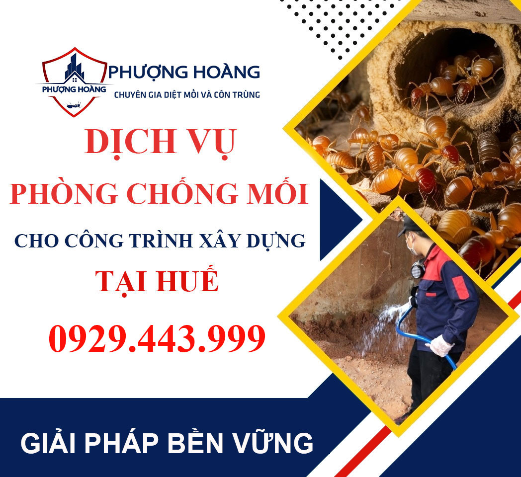Dịch vụ phòng chống mối cho công trình xây dựng tại Huế - Bảo vệ nền móng vững chắc cùng Phượng Hoàng