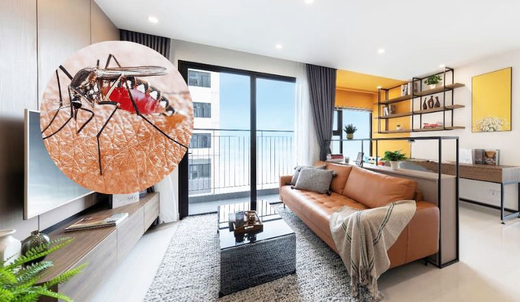 Đơn vị diệt côn trùng chung cư miền Bắc uy tín