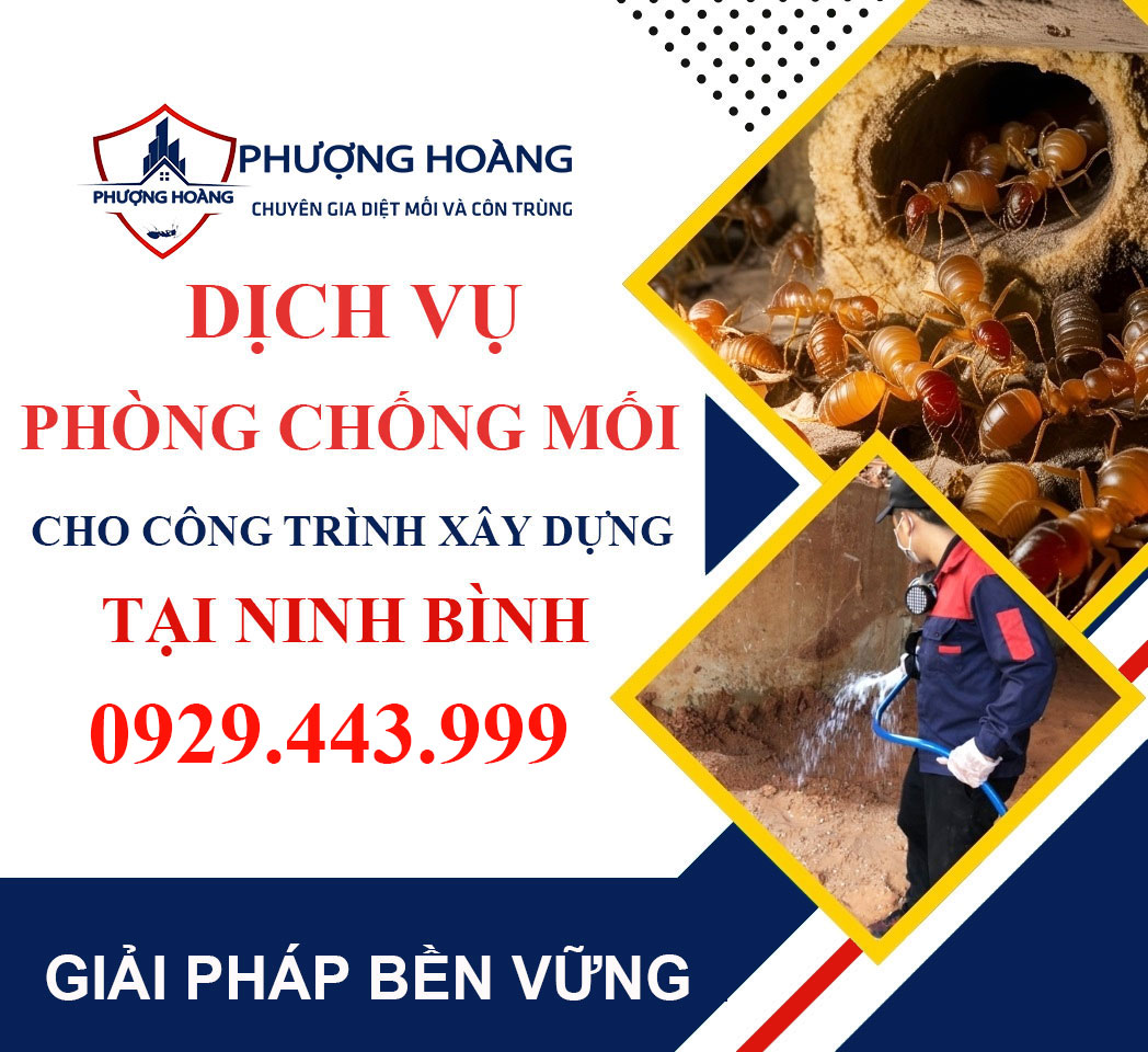 Dịch vụ phòng chống mối cho công trình xây dựng tại Ninh Bình - Hiệu quả lâu dài cùng Phượng Hoàng