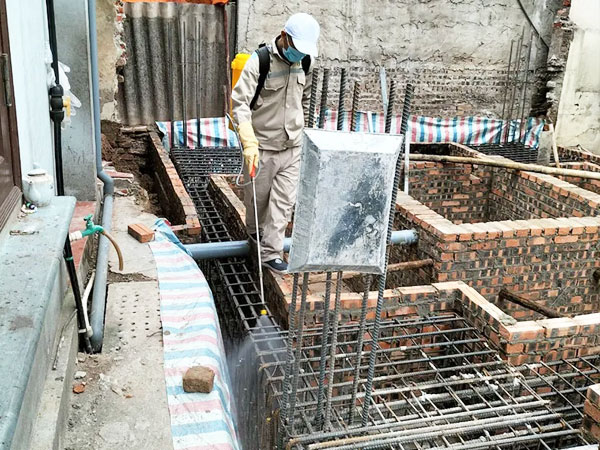 Dịch vụ phòng chống mối CTXD