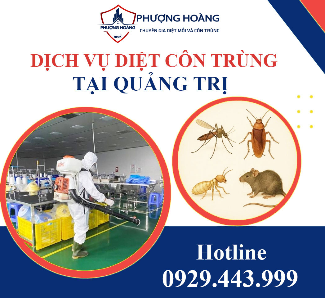 Dịch vụ diệt côn trùng tại Quảng Trị - Hiệu quả dài lâu