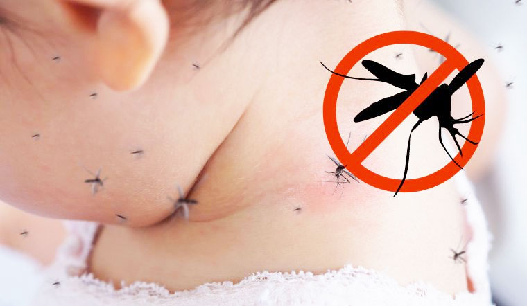 Dịch vụ phun thuốc muỗi an toàn cho trẻ nhỏ