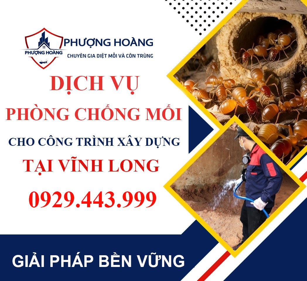Dịch vụ phòng chống mối cho công trình xây dựng tại Vĩnh Long - Chuyên nghiệp Phượng Hoàng