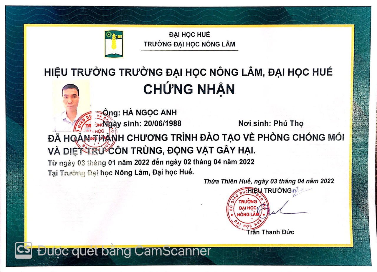 chứng chỉ 5