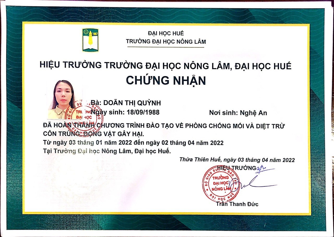 chứng chỉ 4
