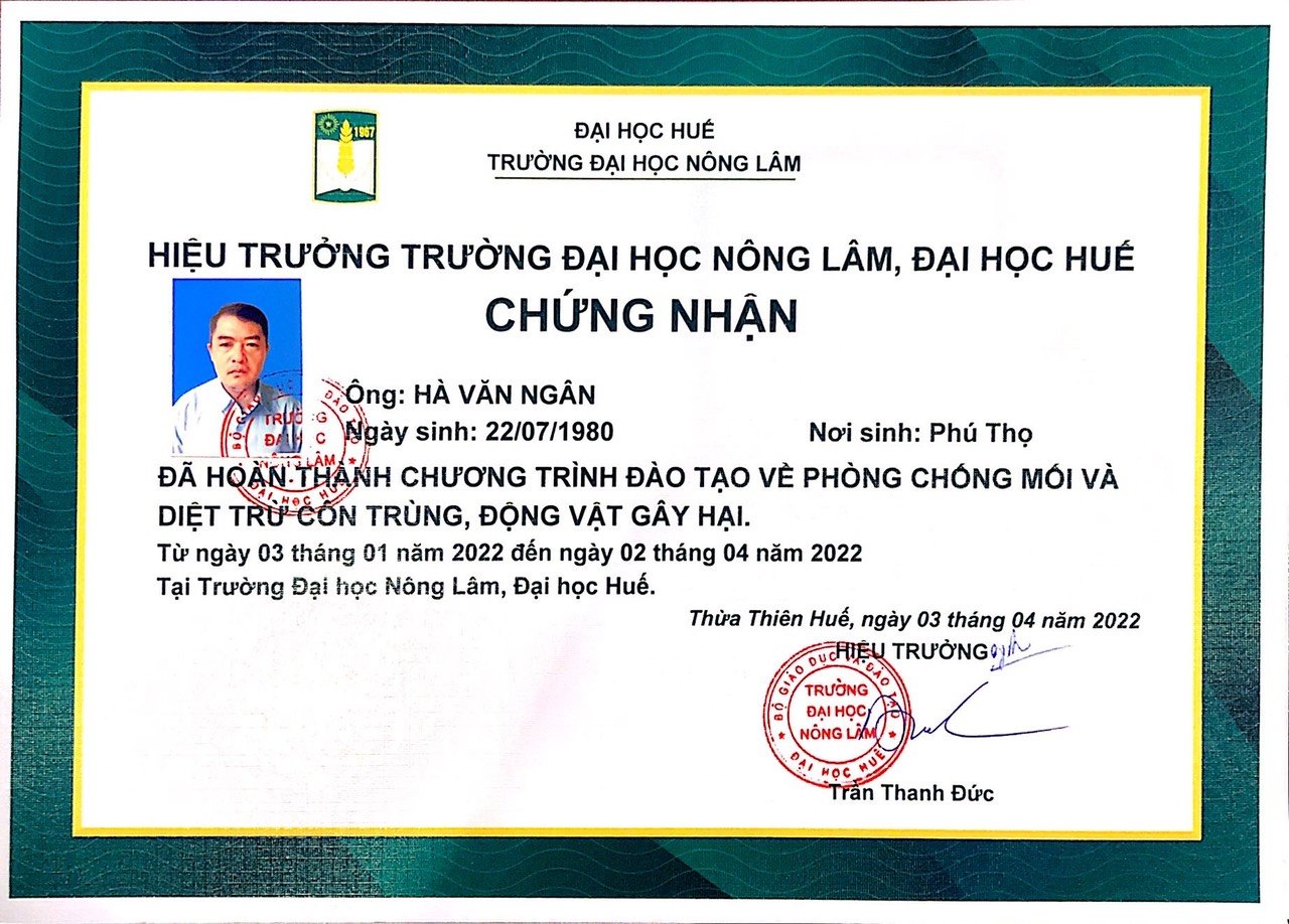 chứng chỉ 3