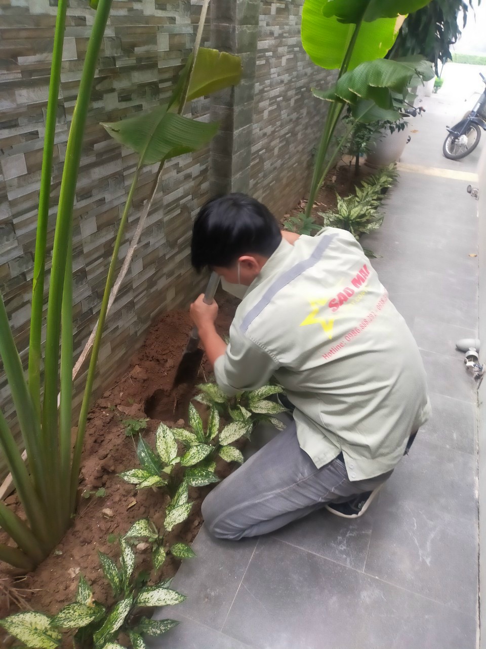 anh 11