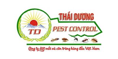 thái dương