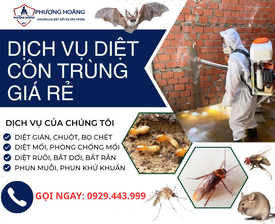 PHƯỢNG HOÀNG - CHUYÊN GIA DIỆT MỐI VÀ CÔN TRÙNG-1